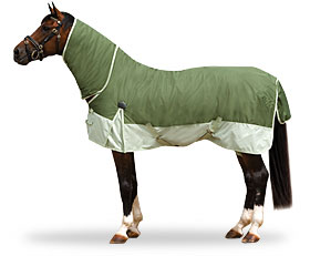 Horse Blanketϸ˵